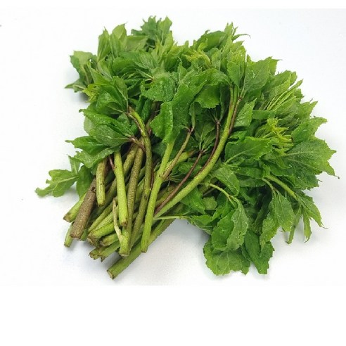 손질 걱정 없이 즐기는 봄의 활력, 햇살농원 냉동 오가피순