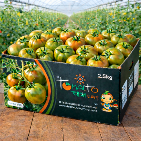 [농장직송] 농협인증 부산 정품 대저토마토