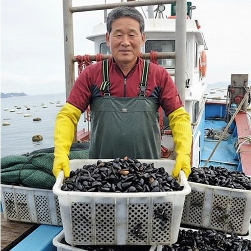 산지직송 경남 통영 자연산 홍합, 1kg