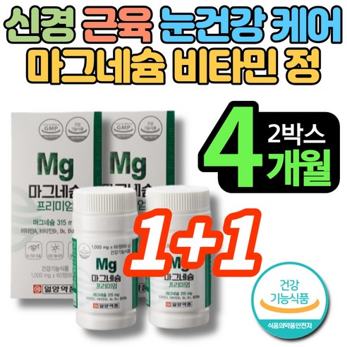 프리미엄 마그네슘 비타민 영양제, 건강을 지키는 비밀은 여기에