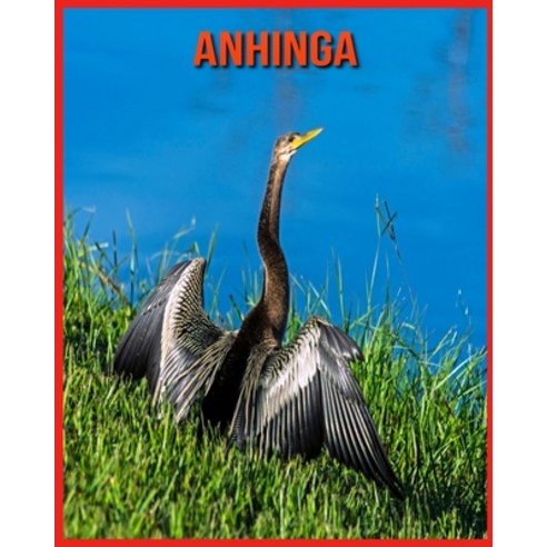 Anhinga: Incredible Pictures and Fun Facts about Anhinga Paperback, Independently Published, English, 9798706636746