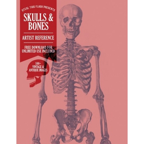 (영문도서) Skulls & Bones: Steal This Flash Presents - Artist Reference Paperback, Independently Published, English, 9798354193059