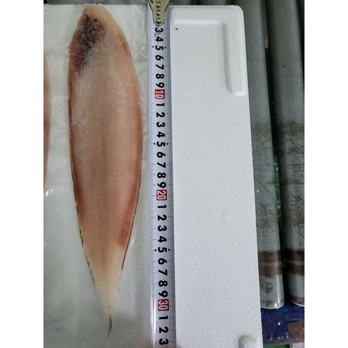 맛있고 영양가 풍부한 군산 박대, 48% 할인