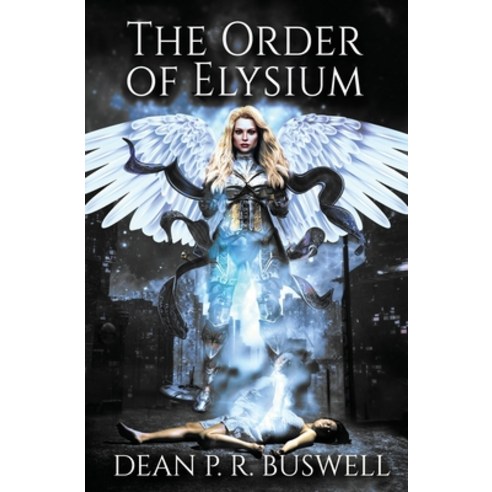 The Order of Elysium Paperback, Book Reality Experience