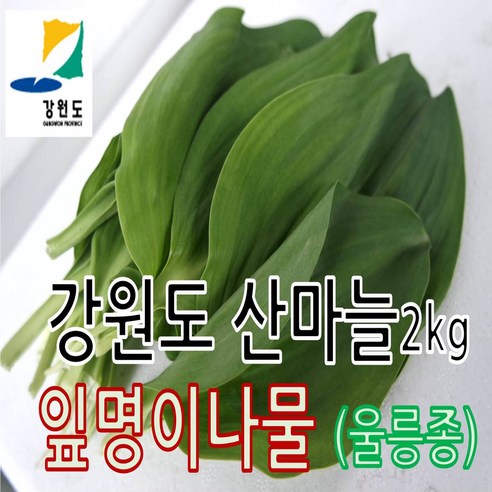 강원도 잎명이나물 (울릉도종) 산지직송, 1박스, 2kg Best Top5