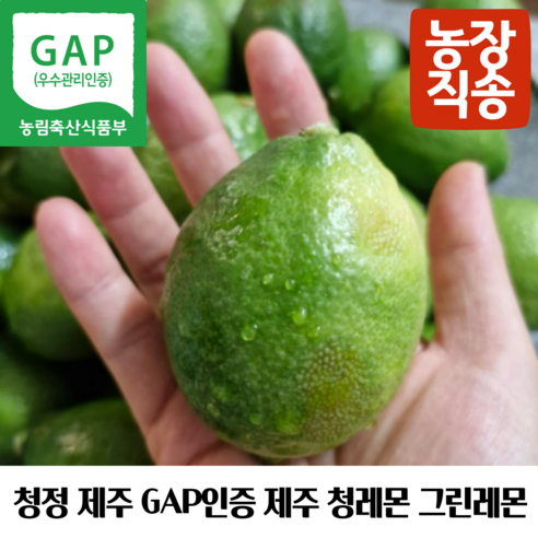 제주 GAP인증 제주레몬생과 제주그린레몬 제주청레몬 제주도산레몬 국산제주레몬 제주산생레몬 제주레몬생과 제주도친환경레몬 제주레몬gap 제주햇레몬 제주왕레몬 제주노란레몬, 1개, 제주청레몬10kg[68-100과]