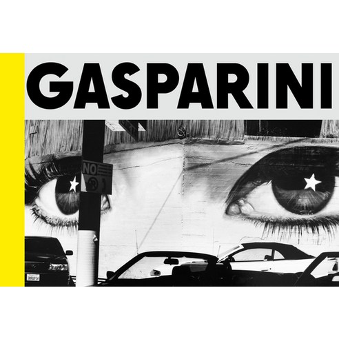 (영문도서) Paolo Gasparini: Field of Images Hardcover, Rm, English, 9788417975777