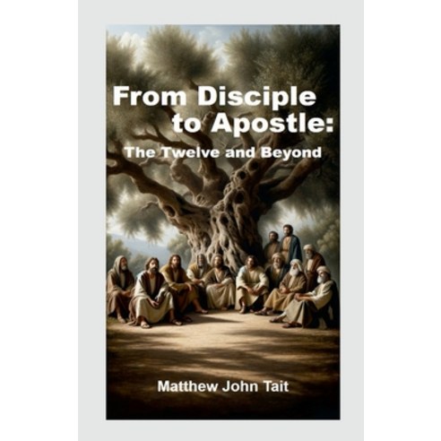 (영문도서) From Disciple to Apostle: The Twelve and Beyond Paperback, Lulu.com, English, 9781445792125