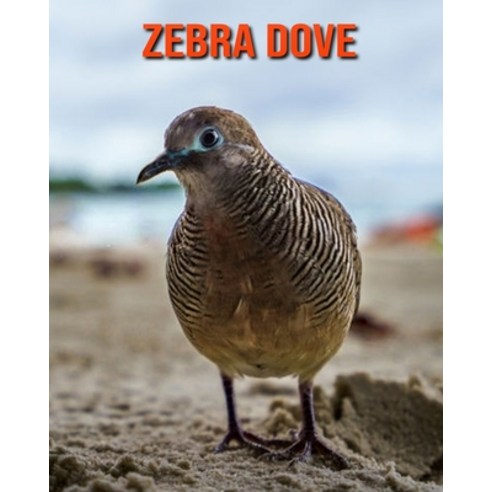 Zebra Dove: Beautiful Pictures & Interesting Facts Children Book About Zebra Dove Paperback, Independently Published, English, 9798556818811
