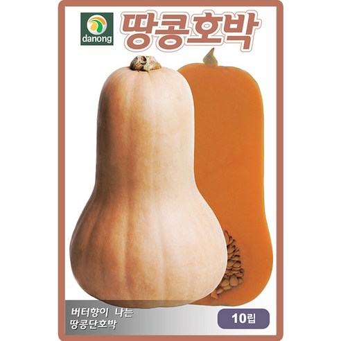 다농 땅콩호박 씨앗으로 화사한 가을정원을 꾸며보세요.