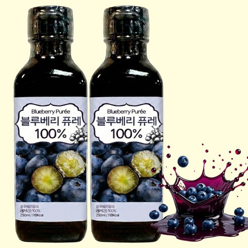 큰나무 블루베리 퓨레 100% 고함량 안토시아닌 착즙 주스 퓨레, 2개, 250ml
