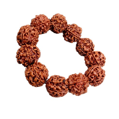 Rudraksha 비즈 팔찌 팔찌 손목기도 요가 팔찌 보석