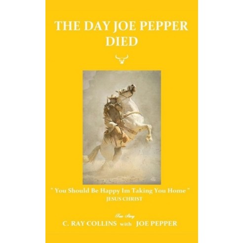 (영문도서) The Day Joe Pepper Died Hardcover, Beyond Publishing, English, 9781637920329