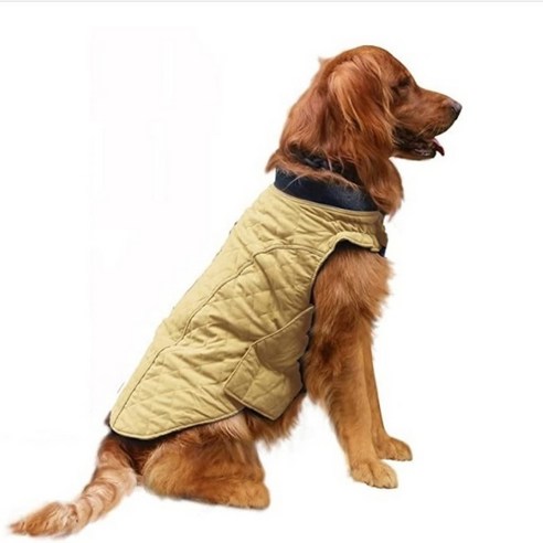 대형견을 위한 완벽한 겨울 패딩 조끼 소개 대형견겨울옷