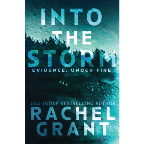 (영문도서) Into the Storm Paperback, Janus Publishing, English, 9781944571528