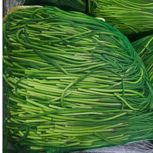 청담농수산 경남 국내산 마늘쫑, 1개, 1kg (A급 못난이)