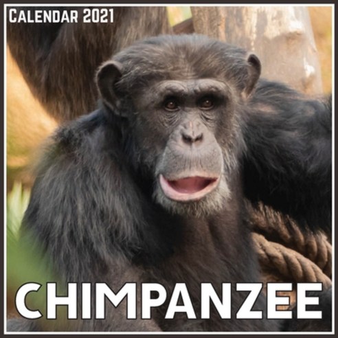 Chimpanzee Calendar 2021: Official Chimpanzee Calendar 2021 12 Months Paperback, Independently Published, English, 9798727264362