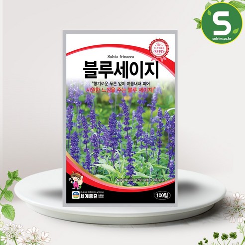 블루세이지 씨앗 100립 다년생 절화용 꽃씨앗 종자, 1개