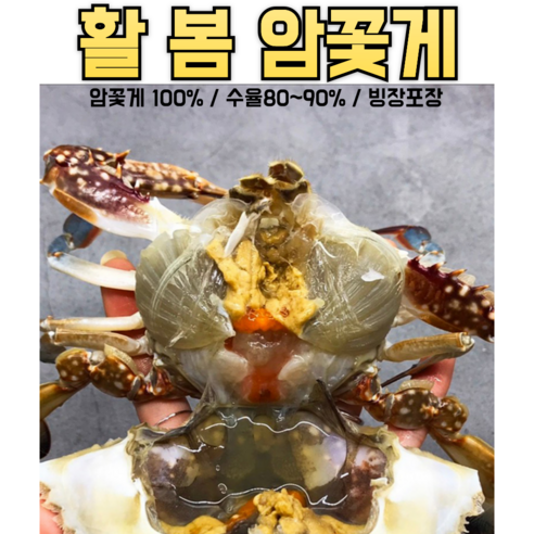 24년 봄 제철 산지직송 암꽃게(알수율80~90%) 1kg(4-6미), 1박스, 생물암꽃게(알수율80-90%) 1kg