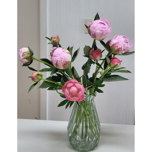 작약 한 단으로 일상에 행복을 더하세요