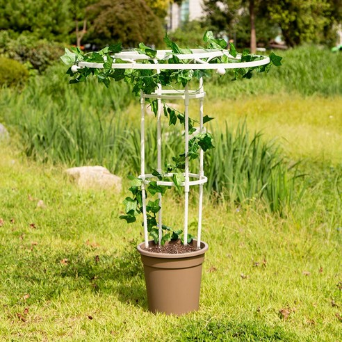 오벨리스크 장미아치 우산 넝쿨식물지지대 화이트 90cm, 1개