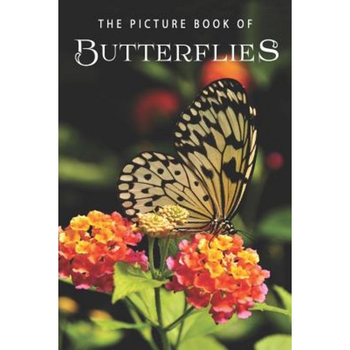 (영문도서) The Picture Book of Butterflies: A Gift Book for Alzheimer''s Patients and Seniors with Dementia Paperback, Independently Published, English, 9781075634314