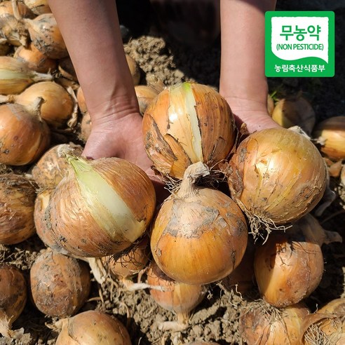 친환경 마음밭 국내산 유기농 무농약 이유식 흰양파 3kg 5kg 10kg