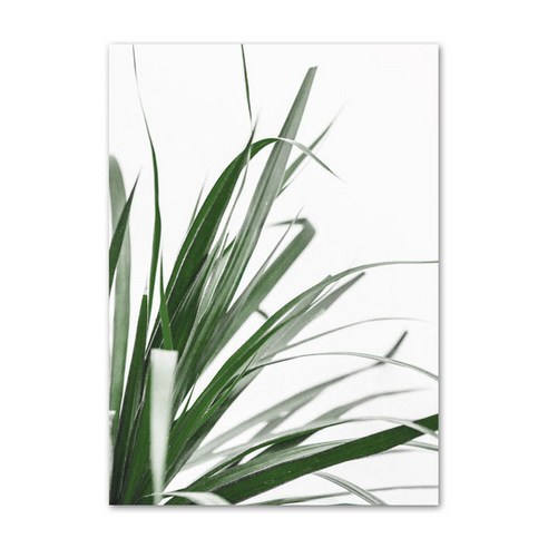 북유럽 스타일 튤립 난초 식물학 패브릭 포스터 거실 홈 장식 매달려 그림 코어, K113-5, 10x15cmframeless