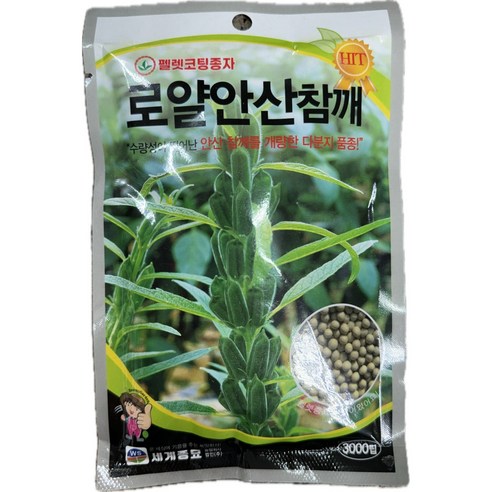 로얄안산참깨 3000립 /안산개량 백미가지참깨 코팅참깨, 1개 참깨한되 로얄안산참깨 3000립 /안산개량 백미가지참깨 코팅참깨, 1개 참깨한되