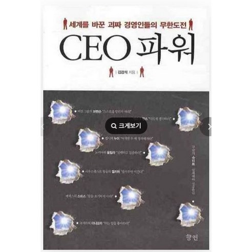 CEO 파워 (세계를 바꾼 괴짜 경영인들의 무한도전)