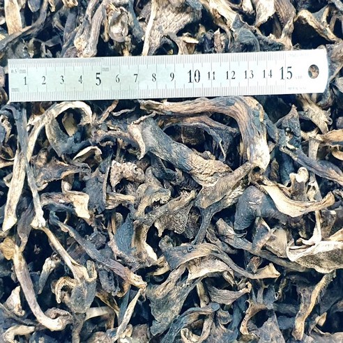토종닭 한 마리용 국내산 자연산 건조 능이버섯 (백숙용) 15g, 1개 능이삼계탕 토종닭 한 마리용 국내산 자연산 건조 능이버섯 (백숙용) 15g, 1개 능이삼계탕