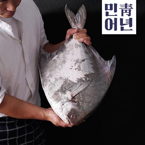 민어청년 임자도 생물 병어1kg(5~8미내외), 1개