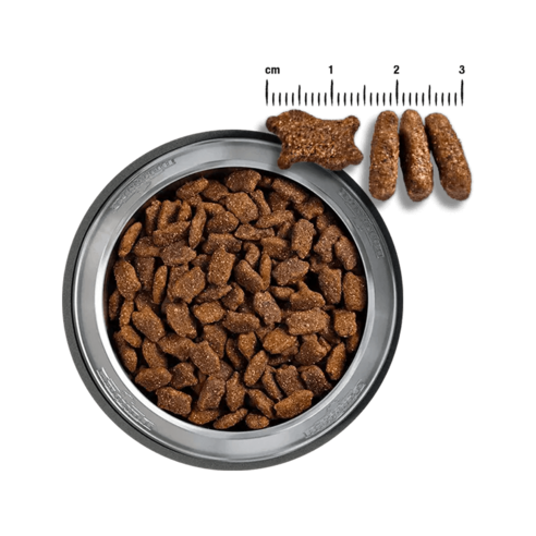 반려견의 건강을 위한 최상의 선택