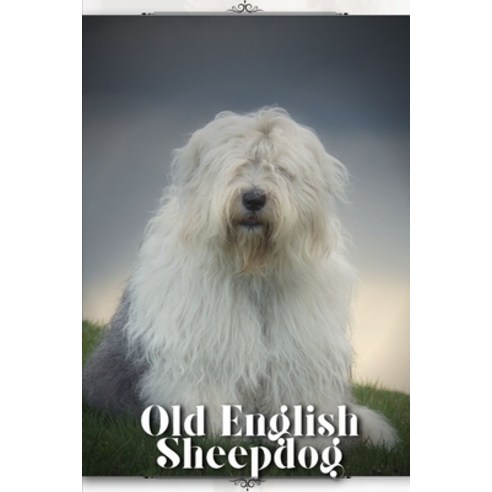 (영문도서) Old English Sheepdog: Dog breed overview and guide Paperback, Independently Published, 9798850962401