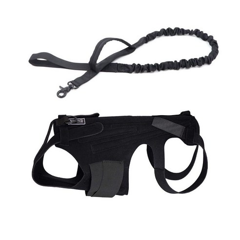 강아지 통증완화 척추보조기 허리 보호대 반려견 노견, FREE, L(10-16kg) 블랙 수트