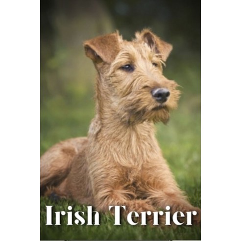 (영문도서) Irish Terrier: Dog breed overview and guide Paperback, Independently Published, English, 9798851599040