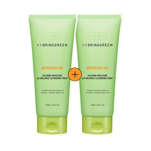 브링그린 사철쑥 약산성 클렌징폼 더블기획 200ml+200ml, 200ml, 2개