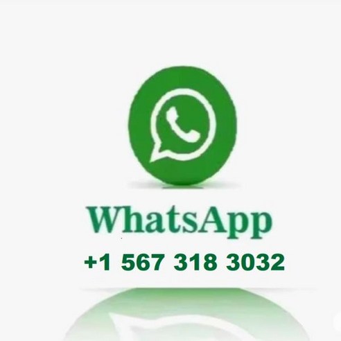 일상탈출, Sur Ron X와 함께 짜릿한 자유를!