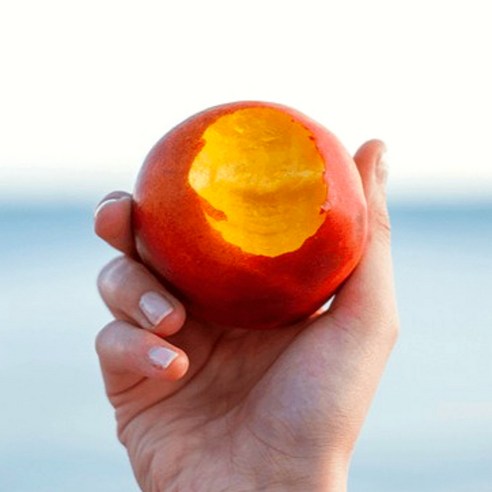 제철과일 천도복숭아 신비복숭아 복숭아제철, 1개, 천도복숭아 1KG 대과 (9-11과)