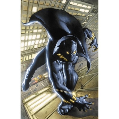 (영문도서) Black Panther by Christopher Priest Omnibus Vol. 1 Hardcover, Marvel, English, 9781302945015