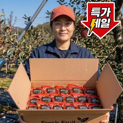 [선착순50박스] 초특가 껍질째먹는 오존수 세척사과