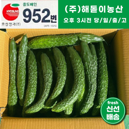 해돋이농산 국내산 오이 가시오이 청오이 못난이오이 3kg 5kg 10kg, 1개