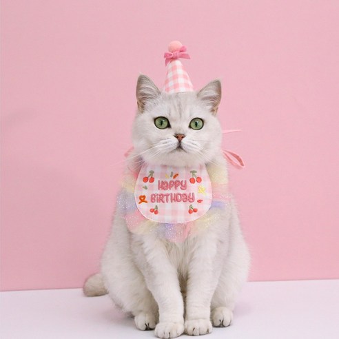 오자드 강아지 고양이 생일파티 용품 모자 스카프 턱받이 세트, 핑크