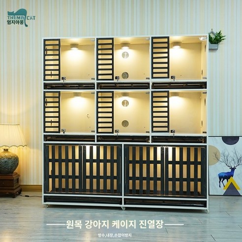 강아지의 안락함과 안전을 최우선으로 한 혁신적인 애견호텔장
