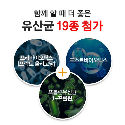 자연속 하루 효소: 효소와 유산균의 힘으로 소화력과 장내 건강 향상