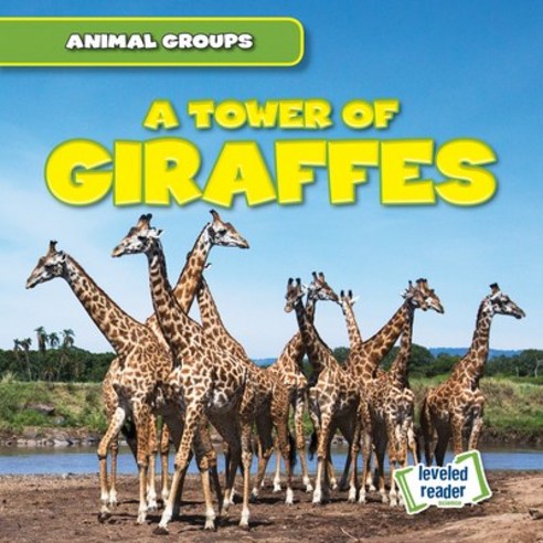 (영문도서) A Tower of Giraffes Paperback, Gareth Stevens Publishing, English, 9781538263617