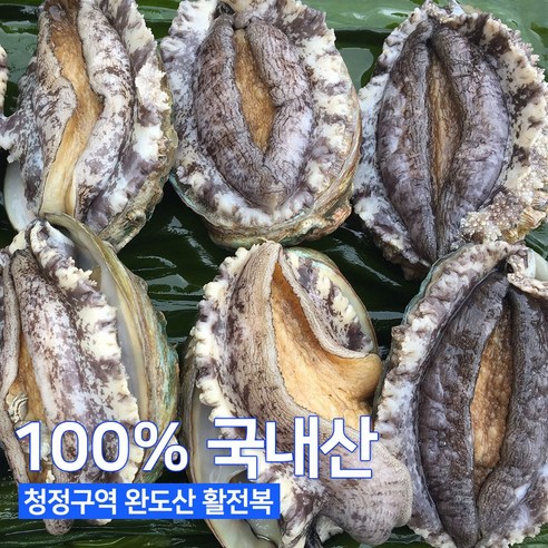 청정지역 완도 활전복 산지직송 1kg+세척솔, 대전복(11-12미), 선물 포장 미포함, 2개