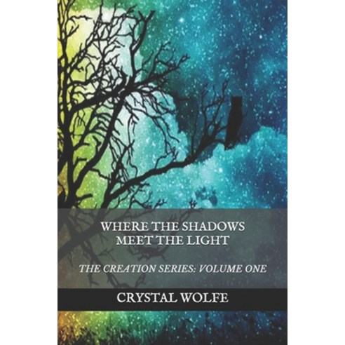(영문도서) Where the Shadows Meet the Light Paperback, Wolfeside Times, English, 9780692180525