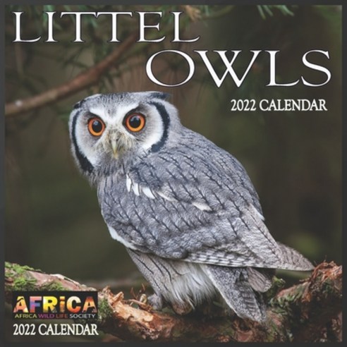 (영문도서) Little Owls CALENDAR 2022: 12 Month Mini Calendar from Jan 2022 to Dec 2022 Cute Gift Idea -... Paperback, Independently Published, English, 9798515027704