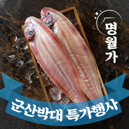 특가행사! 반건조 군산 박대 서대 말린 생선 구이용 조림용 진공포장